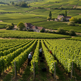 Romantic Paris &amp; Champagne Escape image 3 768x1024