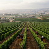 Lebanon Adventure &amp; Skiing image 6 1152x1152