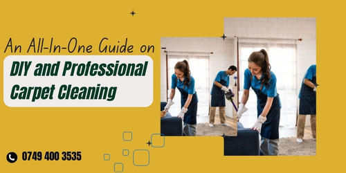 An All In One Guide on DIY and Professional Carpet Cleaning.jpg
