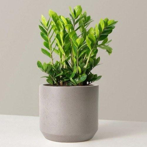 product jpeg (1).jpg