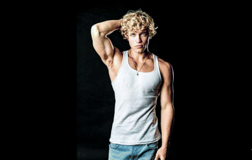 teddy (2).gif