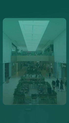 500154506 1032675642306898 7306666426397060224 n