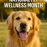 ChatGPT Image Sep 1, 2025, 02 31 27 PM