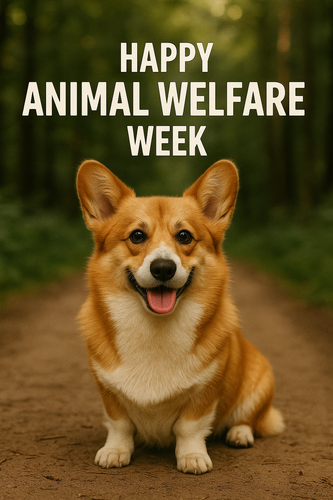 ChatGPT Image Sep 1, 2025, 02 31 20 PM.png