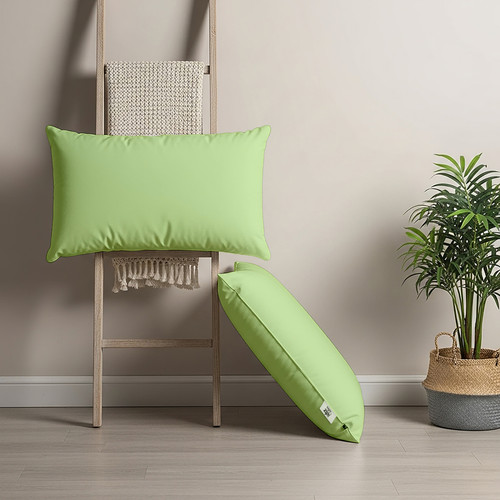 Lime (1).jpg