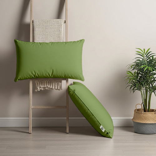 Olive (1).jpg