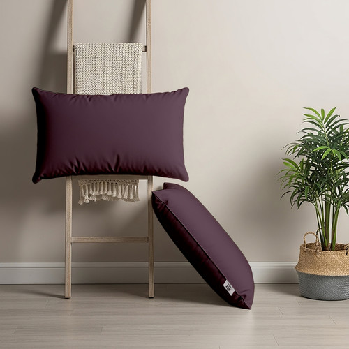 Plum (1).jpg