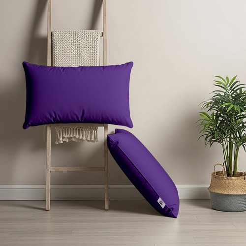 Purple (1).jpg