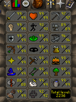 RuneLite IC4E52wpGg.png