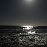 Nice Picture