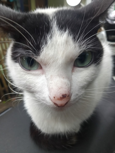 IMG20250219063339 01.jpg