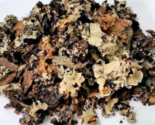 Wayanad Stone Flower 10g