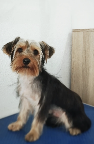 Captura de pantalla 2025 10 23 a las 16.45.24.png