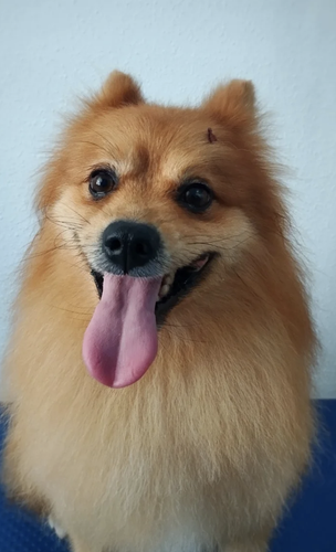 Captura de pantalla 2025 10 23 a las 16.45.39.png