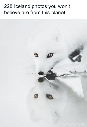 download 2025 10 23T194952.016.png