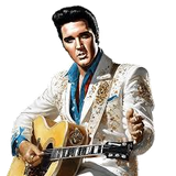 ELVIS