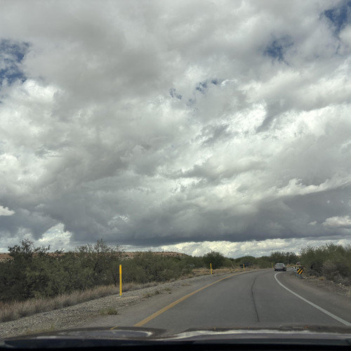 cropped IMG 1461.jpg