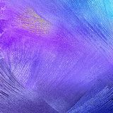 5c1c95565448d wallpaper preview