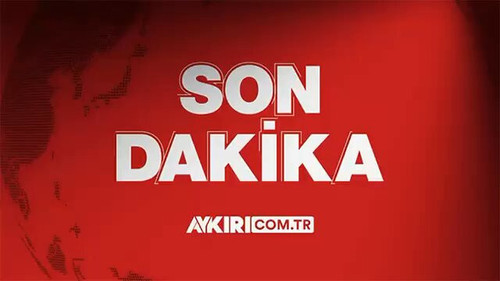 MyobSleqtTQktz 7.jpg