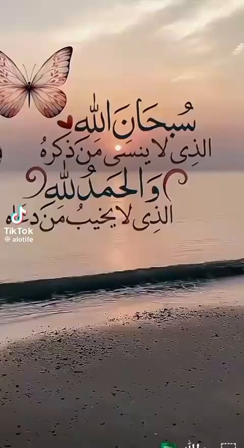 Z8zJrwoib FbIU8F.jpg