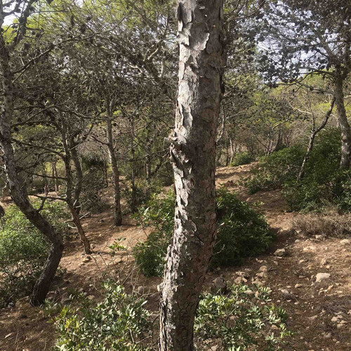 A9994F9B 560D 40C3 A9D7 489199116606.jpg