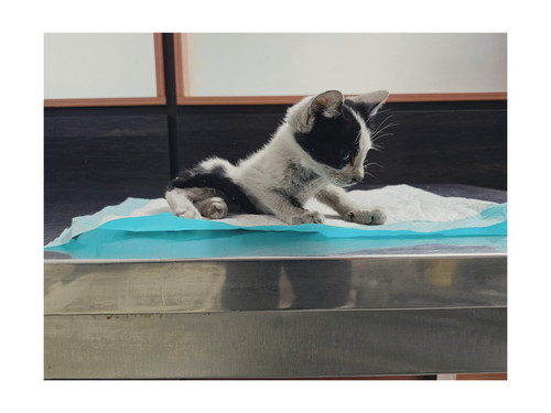 G2 EFSbW4AAM2Ki?format=jpg.jpg