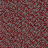 tengrai image 1724529554 358832