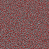 tengrai image 1724529555 6435385