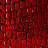 5223dc2a03a36fc6412d549ad0dbfb4e