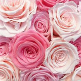 822a9ca4e87f5cedd4adbec8b161f238