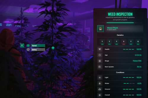 FiveM b2802 GTAProcess SanfgwDFpR.png