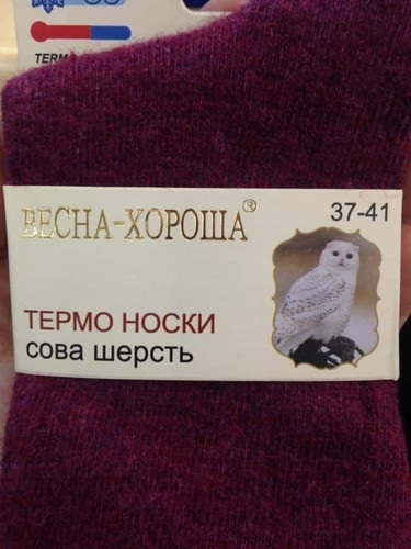 oS3qrXfLBoVxnAldfziakr5KIPJ2in45Nz7tKlszLwEowIpF85EwCXpk W79U yVYcvH4KsLi5MWn5WHoy8nYg5R.jpg