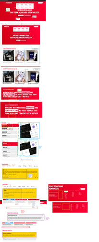 Landing page Issue1.png