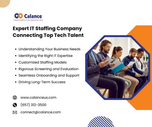 Expert IT Staffing Company Connecting Top Tech Talent.jpg