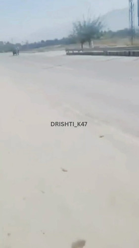 W ChDwtN1BRJnfmB.jpg