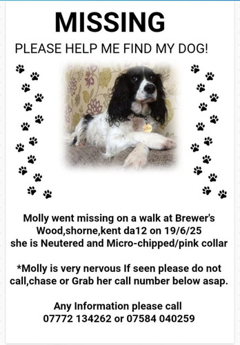 G34l9odWQAAEIWw.jpg
