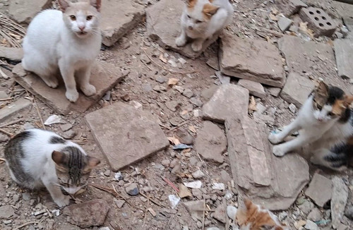 G2 dtNrWsAAuibc?format=jpg.jpg