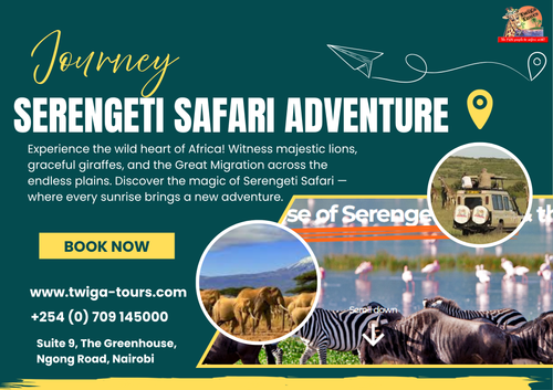 Serengeti Safari Adventure.png