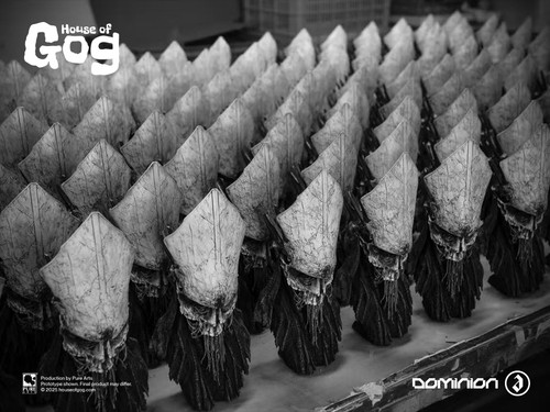 House of Gog x Brent Ashe CEREMONY Production Completed 22 oct. 2025 1024 x 768 012.jpg