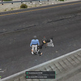 GTA5 NBsGQMuER6