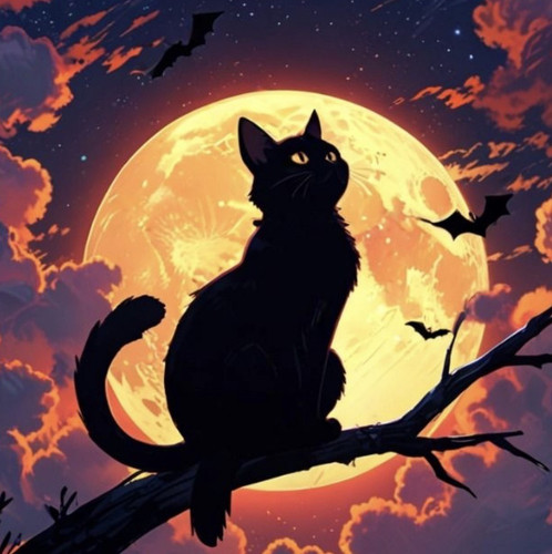 IMG 0665.jpg