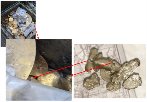 Frog in Chest.png