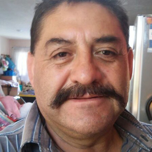 Torito.jpg