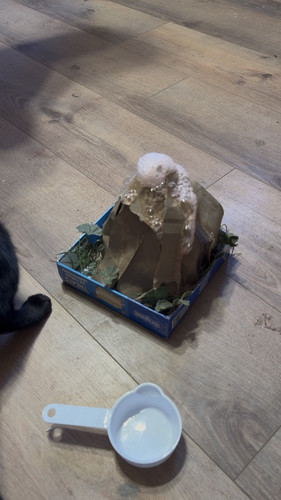 IMG 0580.jpg