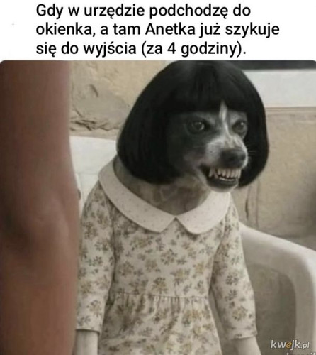 G3wXifsWkAEdZHl.jpg