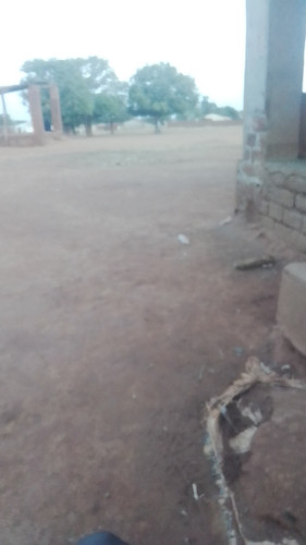 temp 1761234049529.jpg