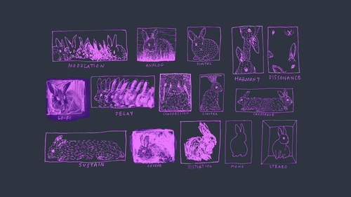 a group of images of rabbits.png