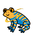 F11.png