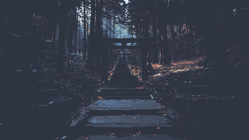 a stone steps leading up to a forest.jpg