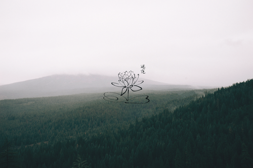 a drawing of a flower in a forest.png